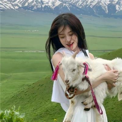 布达佩斯大饭店